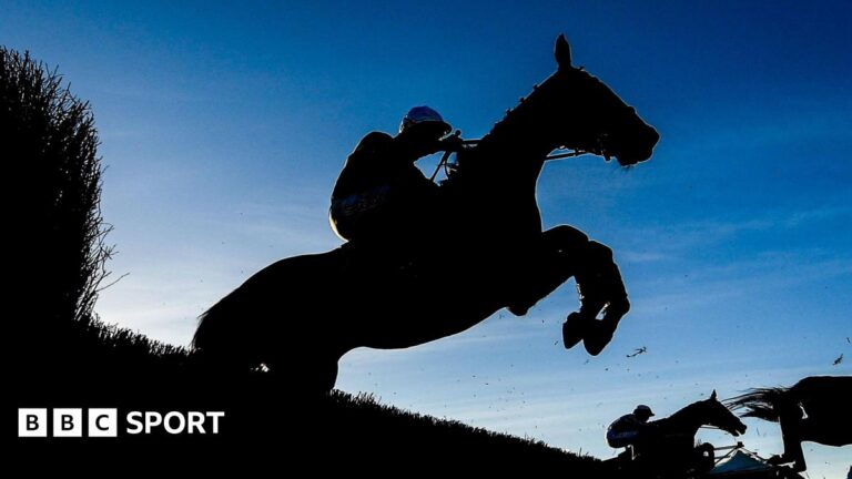 BHA launch new equality, diversity and inclusion strategy to tackle ‘consistent pattern’ of racism Silhouette of horses at Punchestown Racecourse