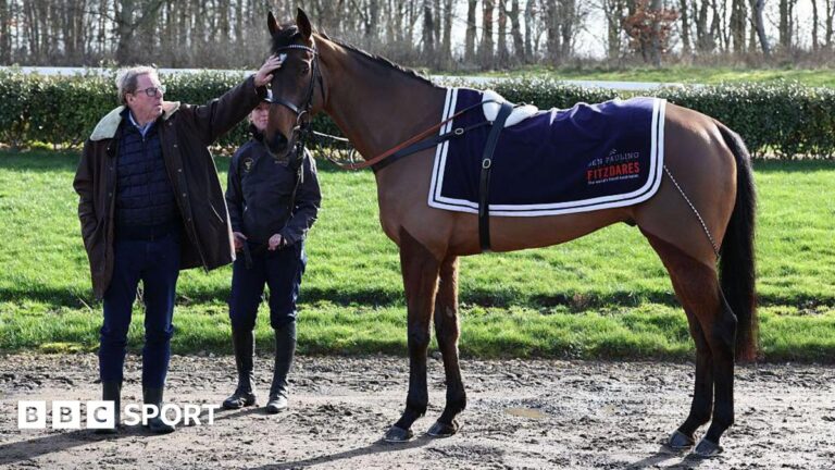 Cheltenham Festival 2026: Harry Redknapp eyes Jukebox Man win in Gold Cup Harry Redknapp touching the head of Jukebox Man