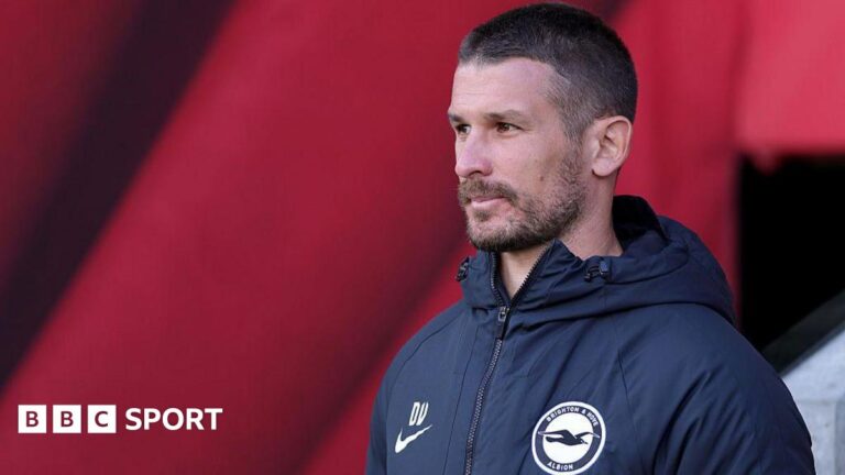 Brighton manager Dario Vidosic