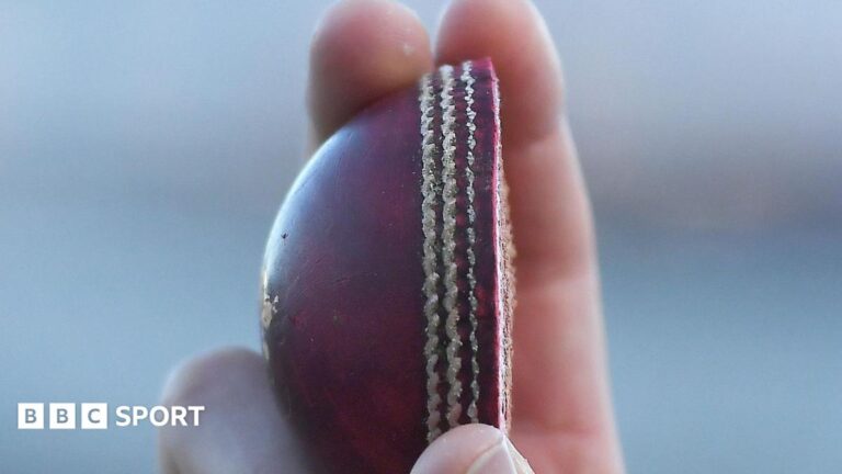 The halved cricket ball
