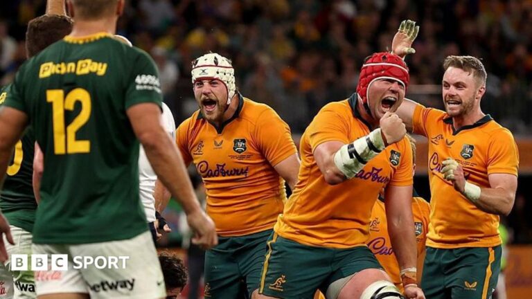Australia celebrate a try against South Africa