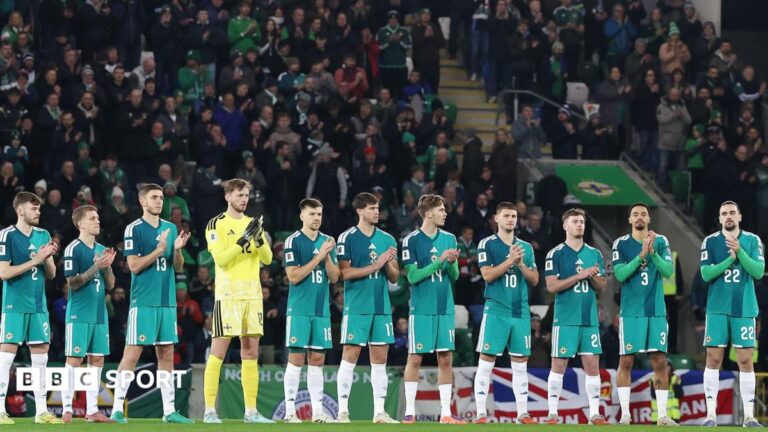 Northern Ireland players applaud